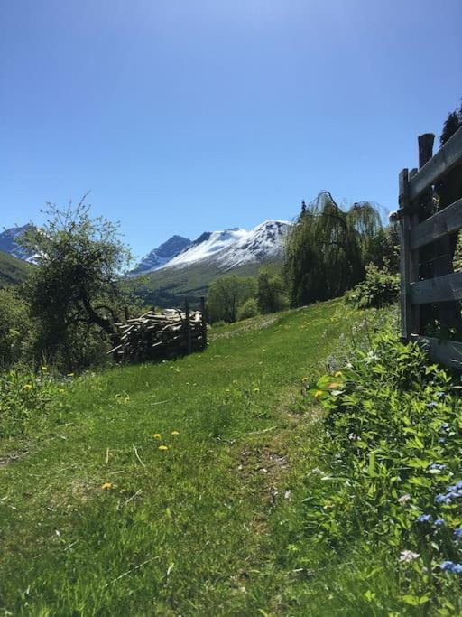 Moonvalley Lodge - Stort & Koselig Hus - Mandalen Kültér fotó